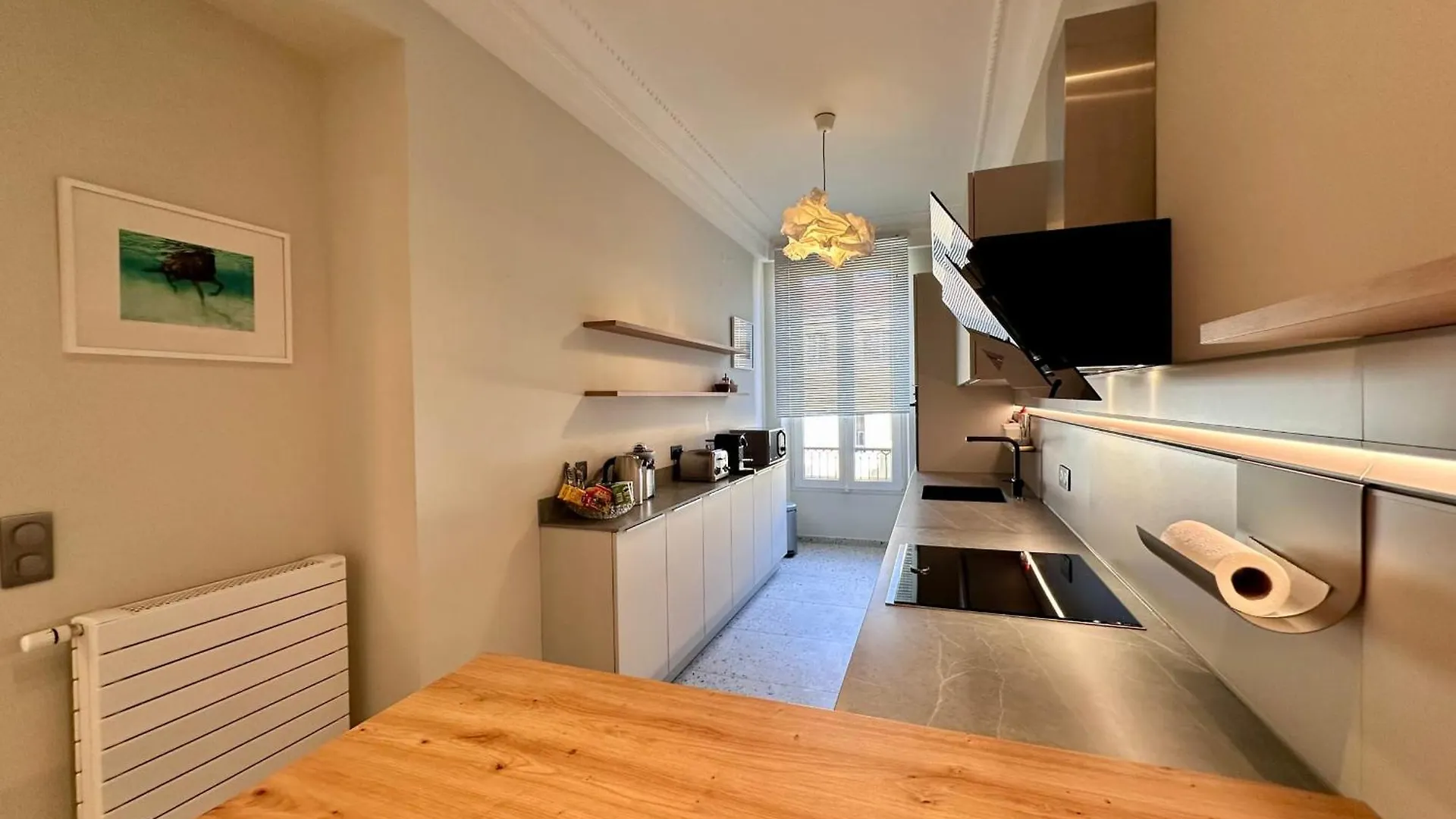 Quai Promenade View Balcony With Breathtaking View Apartment Nice